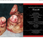 Haram by Armand Hammer and The Alchemist. All Photos by Alexander Richter. Design and Layout by Patric Mersman.
